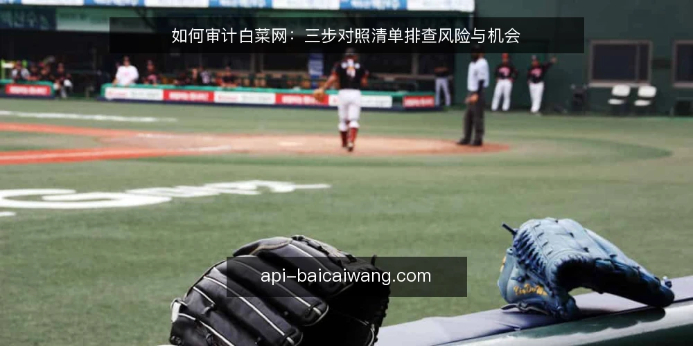 如何审计白菜网：三步对照清单排查风险与机会 — 为何现在需要审计白菜网 配图