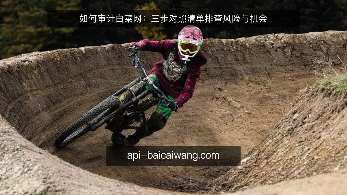 如何审计白菜网：三步对照清单排查风险与机会