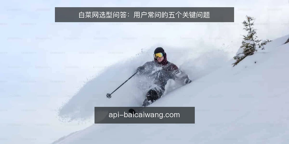 白菜网选型问答：用户常问的五个关键问题 — 白菜网选型，先明确你的需求边界是什么？ 配图