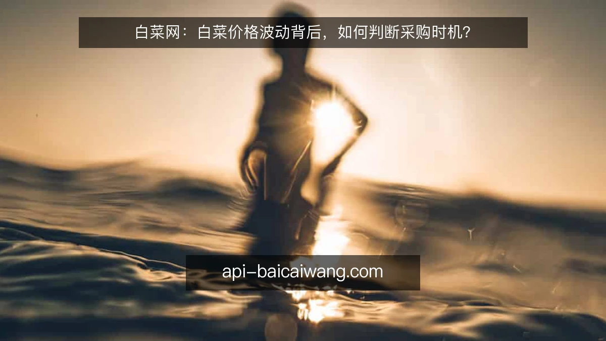 白菜网：白菜价格波动背后，如何判断采购时机？
