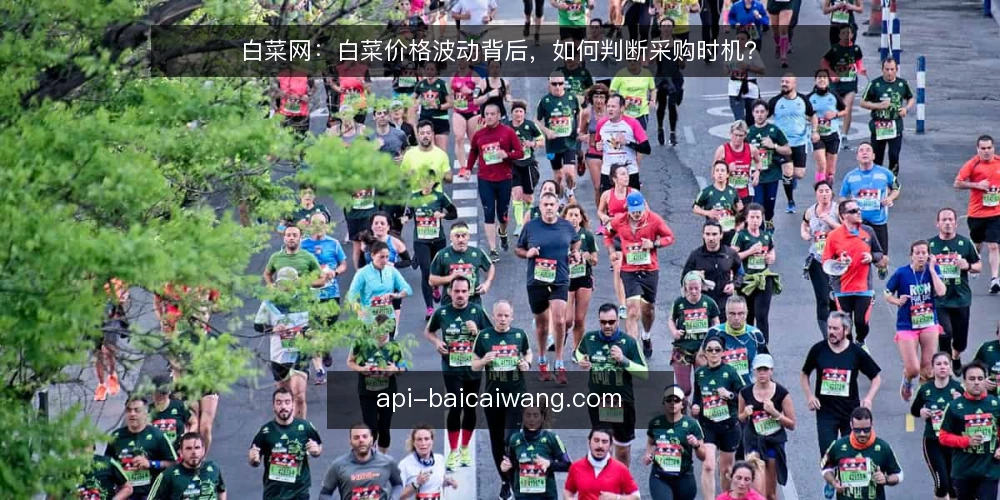 白菜网:白菜价格波动背后,如何判断采购时机? — 白菜价格为何波动大? 配图