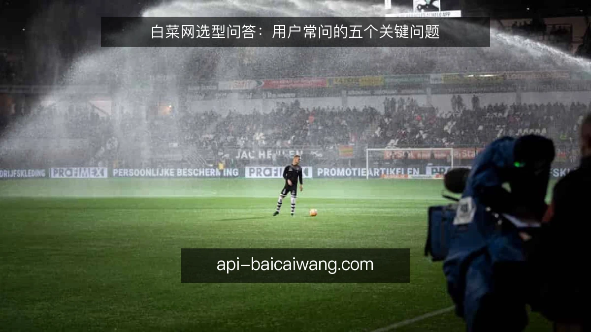 白菜网选型问答：用户常问的五个关键问题