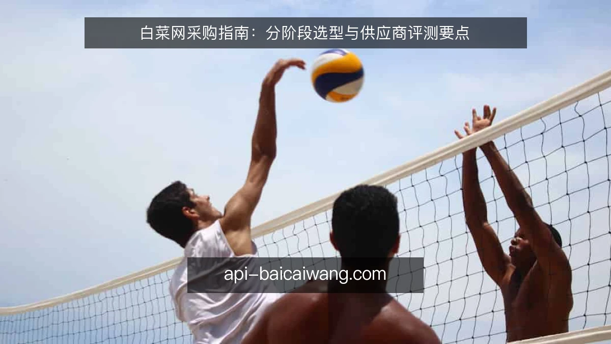 白菜网采购指南：分阶段选型与供应商评测要点