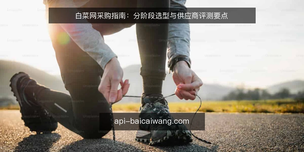白菜网采购指南:分阶段选型与供应商评测要点 — 基线:明确采购需求与边界 配图