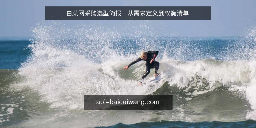白菜网采购选型简报:从需求定义到权衡清单 — 需求定义:明确采购评估的范围 配图