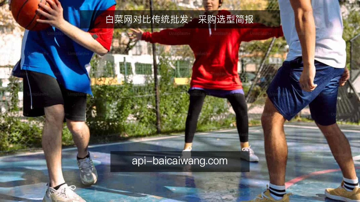 白菜网对比传统批发：采购选型简报