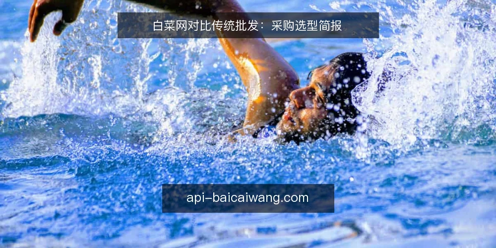 白菜网对比传统批发：采购选型简报 — 界定采购需求与决策边界 配图