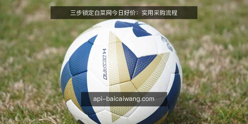 三步锁定白菜网今日好价：实用采购流程 — 准备：明确采购需求与预算 配图