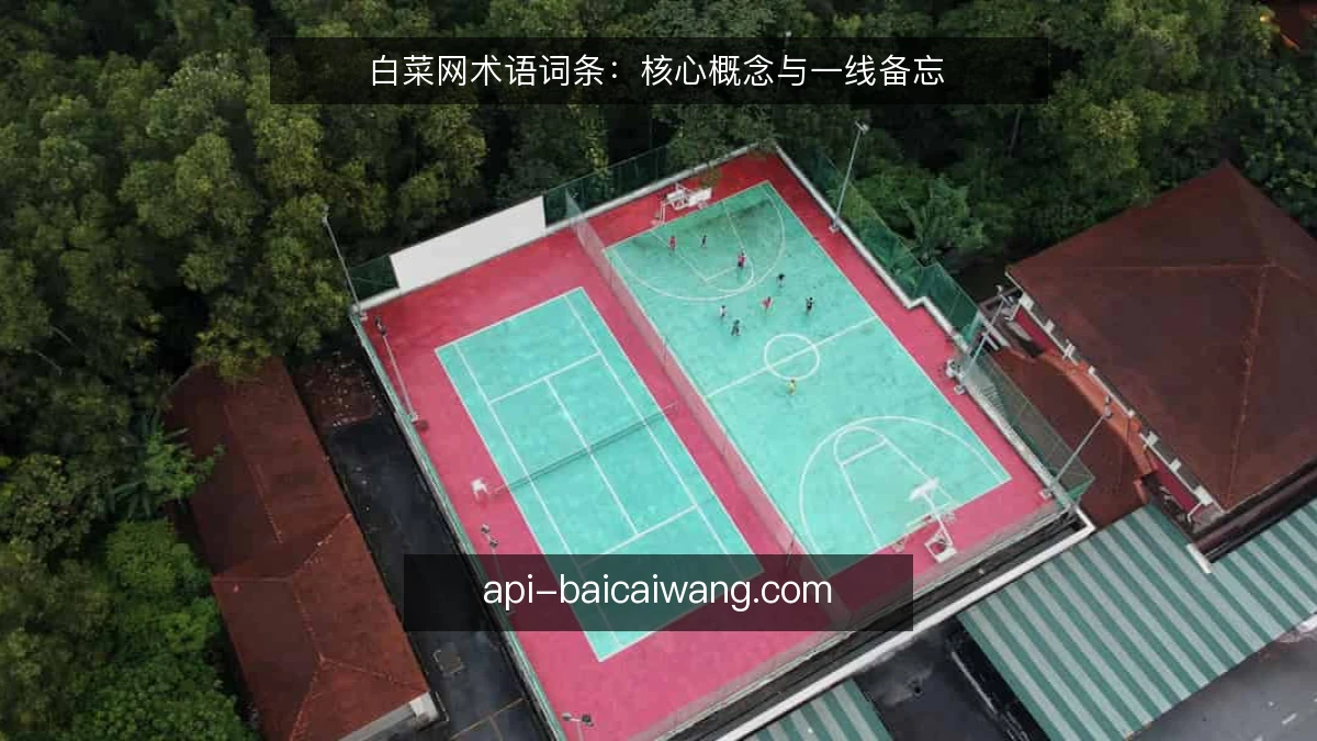 白菜网术语词条：核心概念与一线备忘