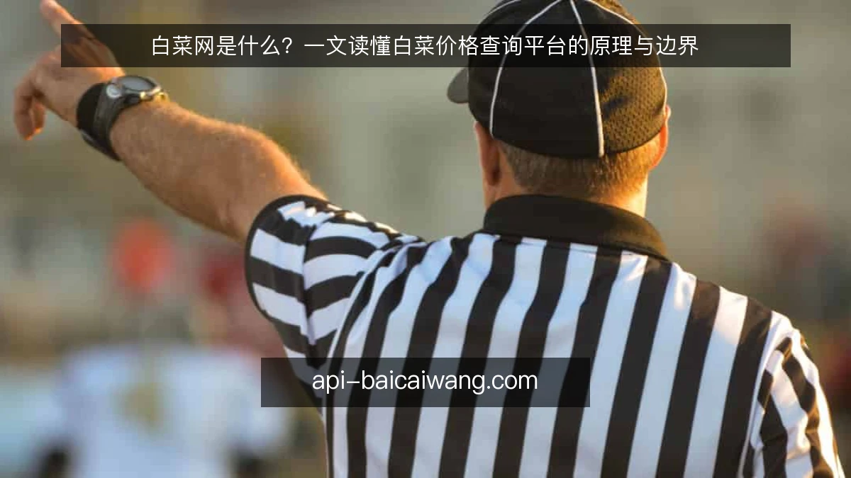 白菜网是什么？一文读懂白菜价格查询平台的原理与边界