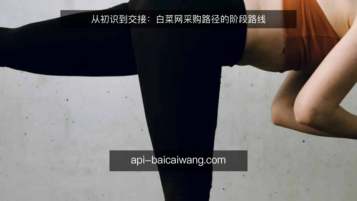 从初识到交接：白菜网采购路径的阶段路线