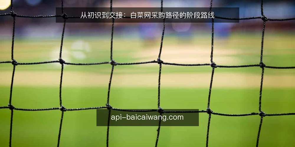 从初识到交接：白菜网采购路径的阶段路线 — 起点基线：先厘清白菜网在采购中的定位 配图