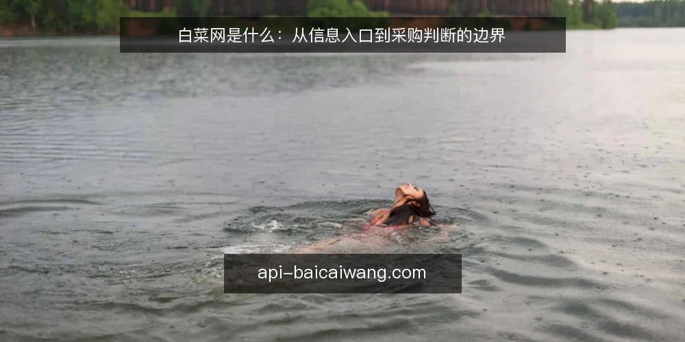 白菜网是什么：从信息入口到采购判断的边界 — 当采购遇到信息碎片化 配图
