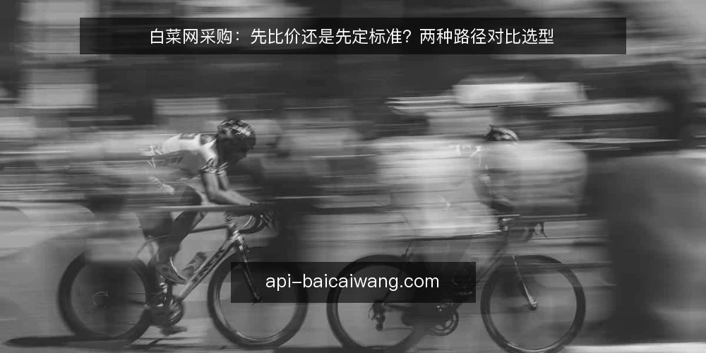 白菜网采购：先比价还是先定标准？两种路径对比选型 — 先明确对比的决策标准 配图