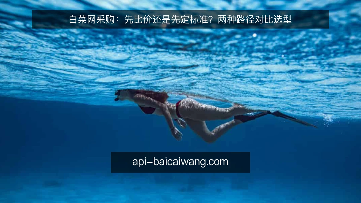 白菜网采购：先比价还是先定标准？两种路径对比选型