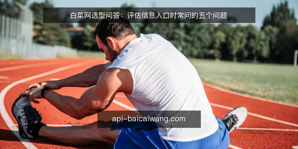 白菜网选型问答:评估信息入口时常问的五个问题 — 我们需要白菜网解决什么问题? 配图