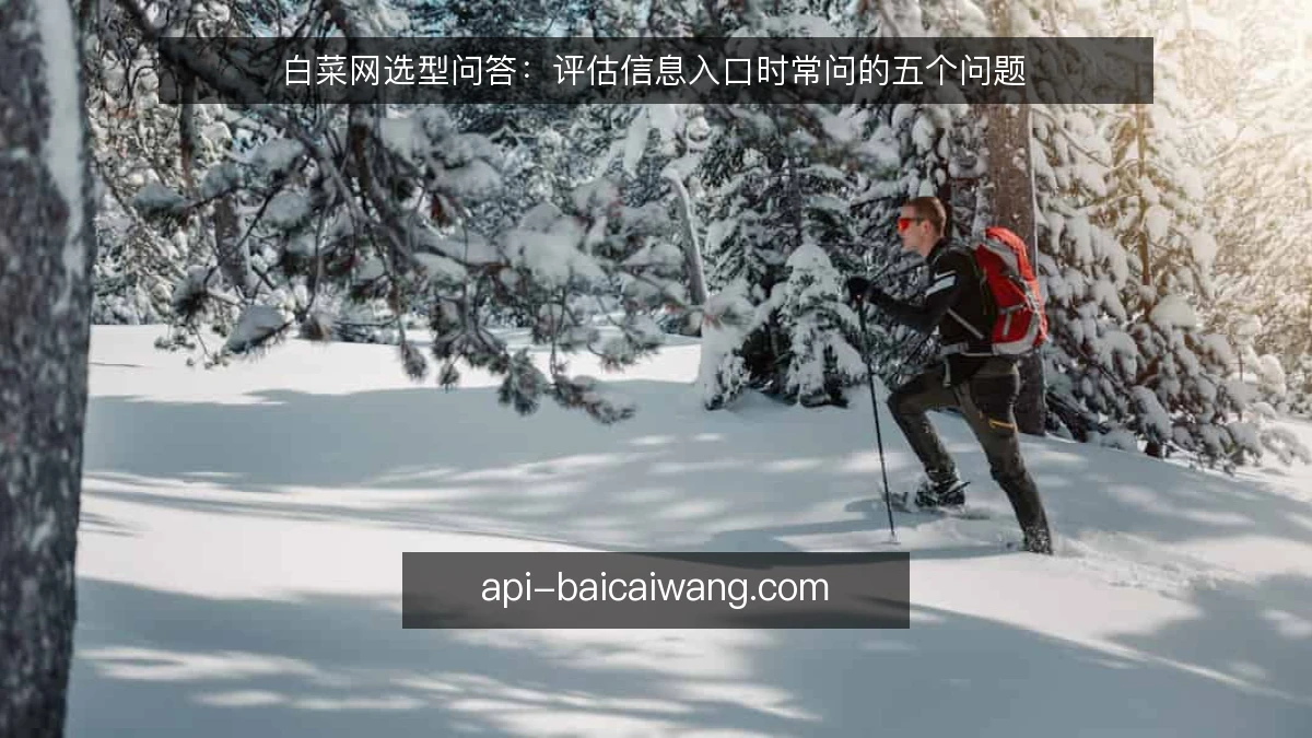 白菜网选型问答:评估信息入口时常问的五个问题