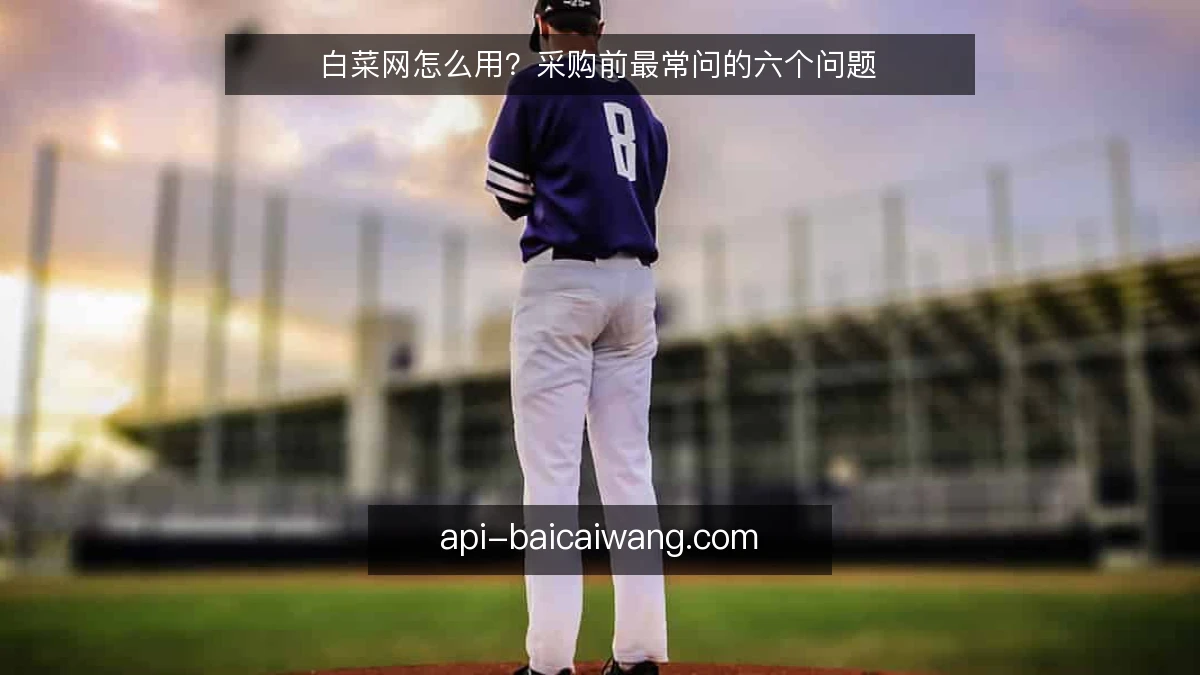 白菜网怎么用？采购前最常问的六个问题
