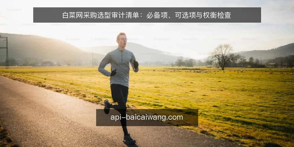 白菜网采购选型审计清单：必备项、可选项与权衡检查 — 为什么现在要做一次白菜网审计 配图