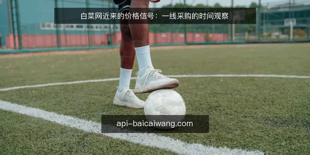 白菜网近来的价格信号：一线采购的时间观察 — 当前值得留意的信号 配图