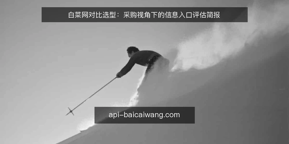 白菜网对比选型：采购视角下的信息入口评估简报 — 先定决策标准：采购要解决什么问题 配图
