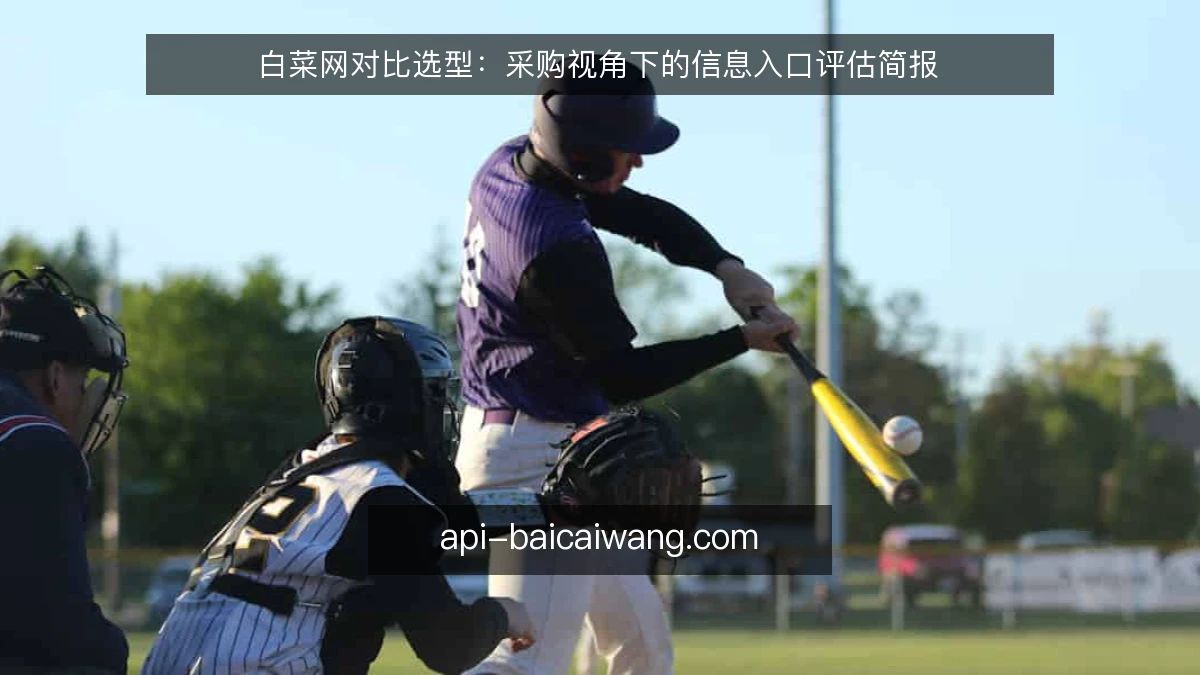 白菜网对比选型：采购视角下的信息入口评估简报