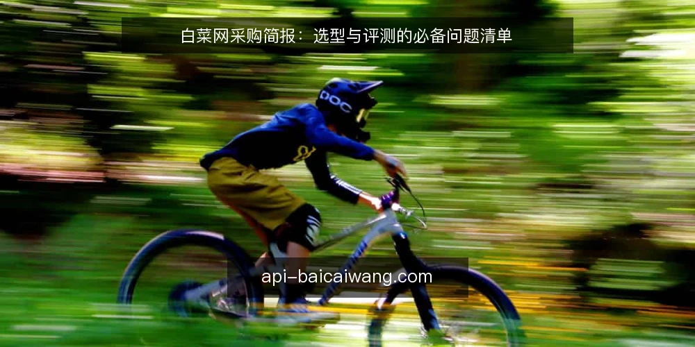 白菜网采购简报：选型与评测的必备问题清单 — 界定采购需求与评测范围 配图